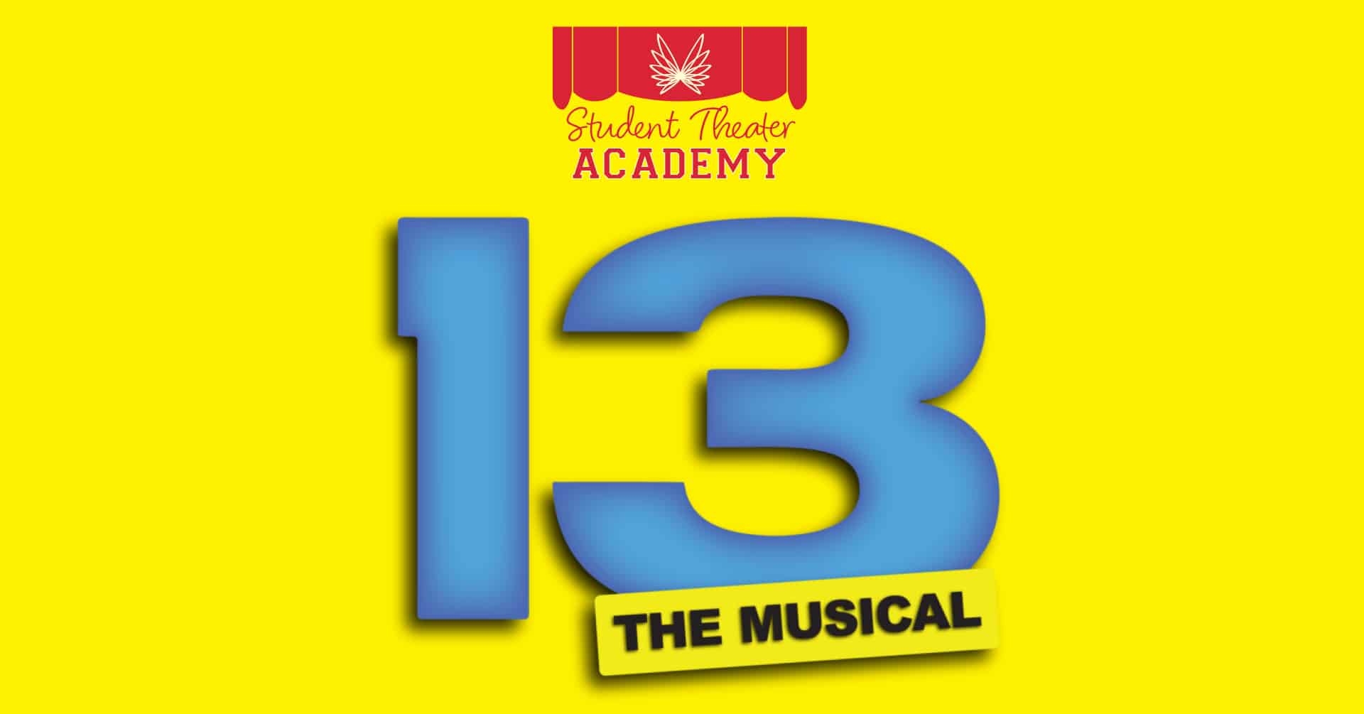 Perform 13 THE MUSICAL