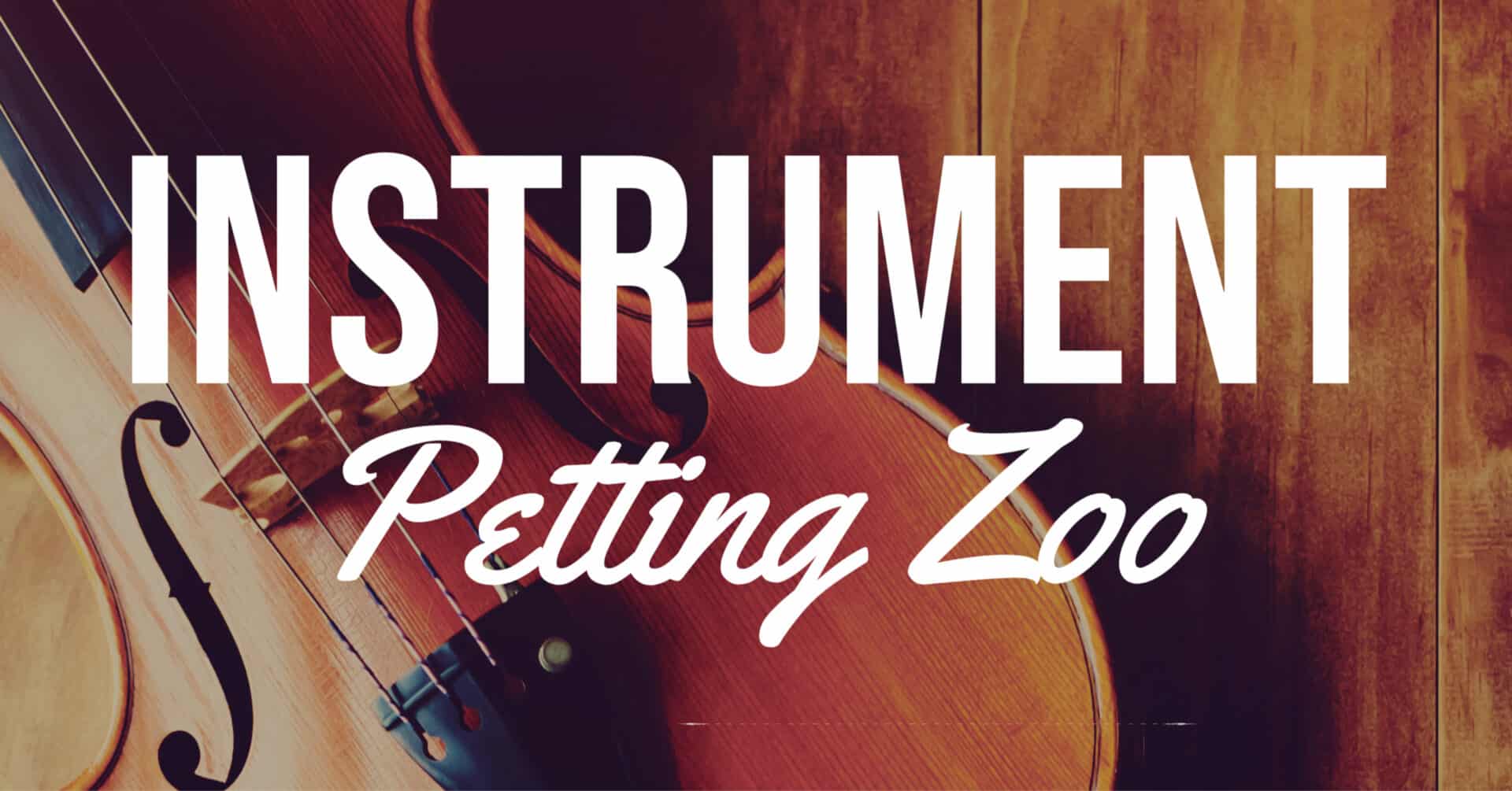 String Instrument Petting Zoo!